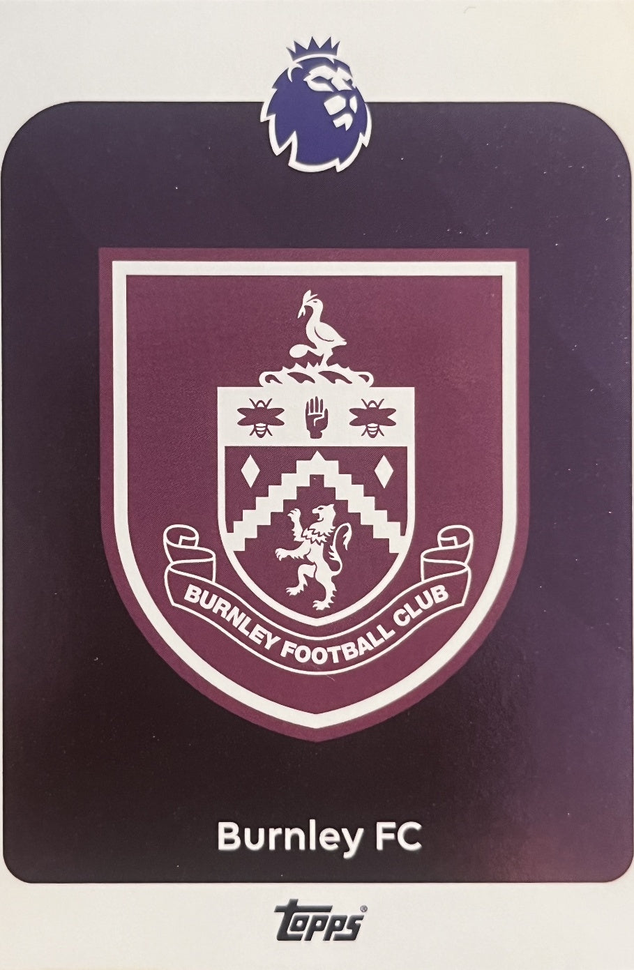 Team Badge 2026 2026 Topps Premier League #307