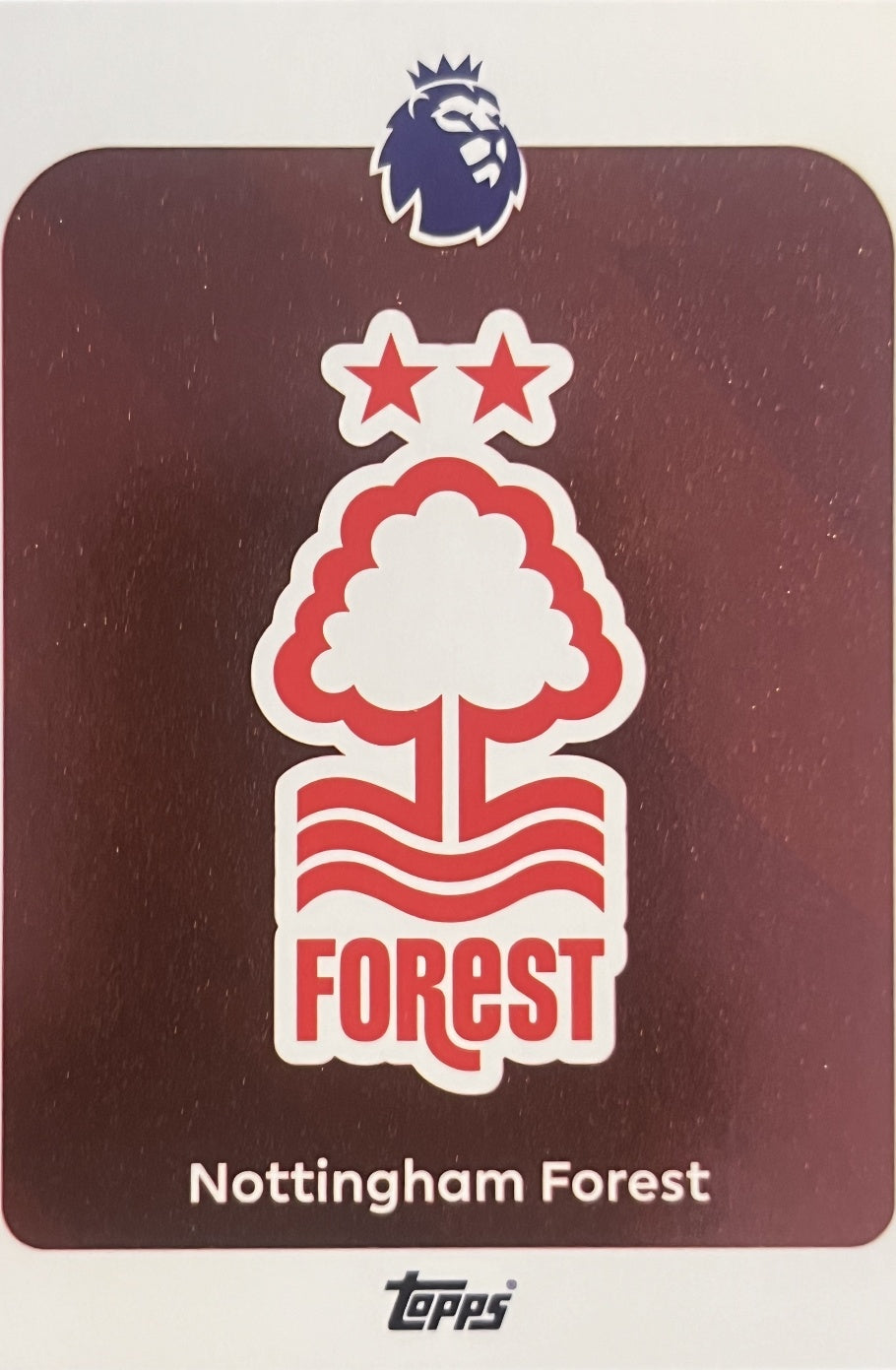 Team Badge 2026 2026 Topps Premier League #235
